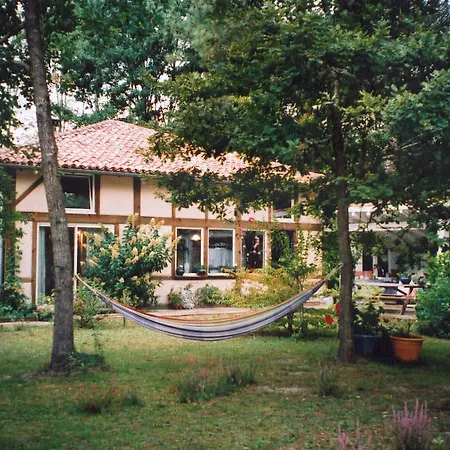 Les De Messanges Messanges (Landes)